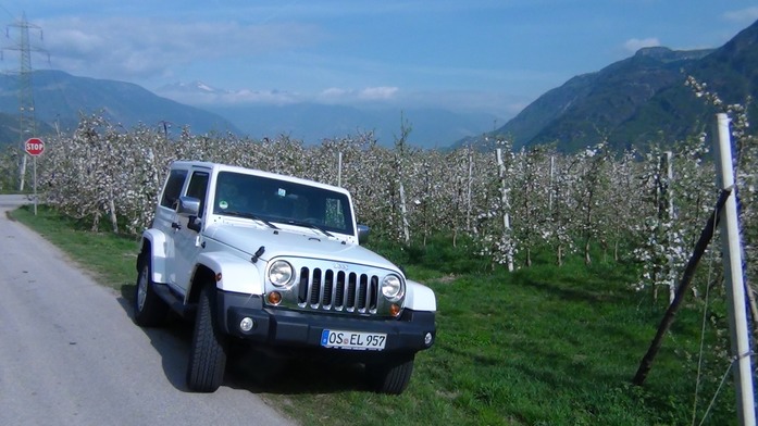 Jeep in der Apfelblüte