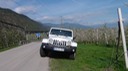 Jeep in Apfelblte