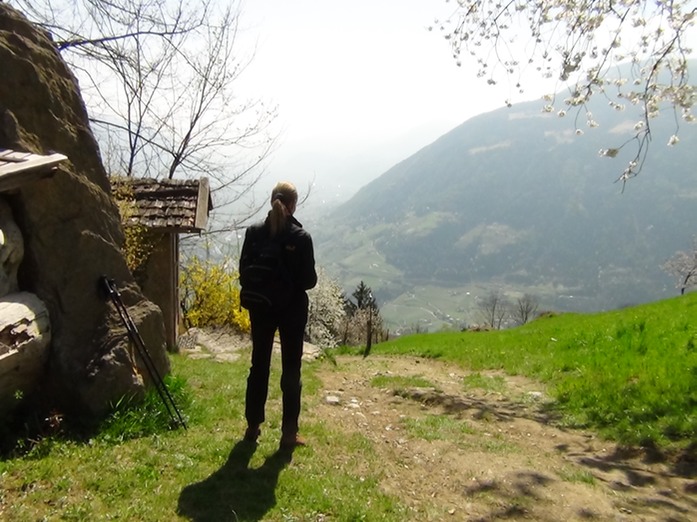 Rast in Vellau