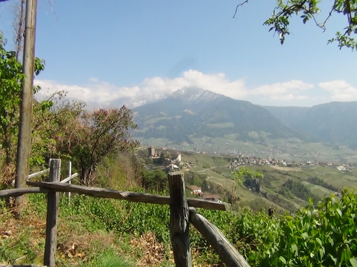 Blick auf Schloss Tirol