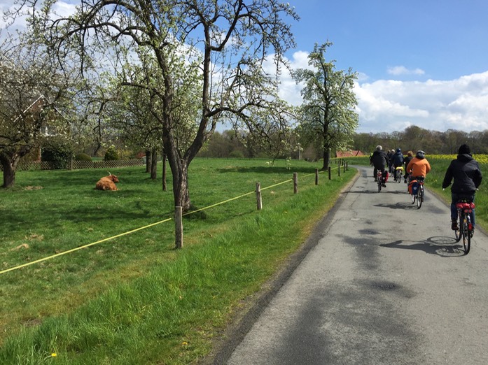 idyllische Landschaft