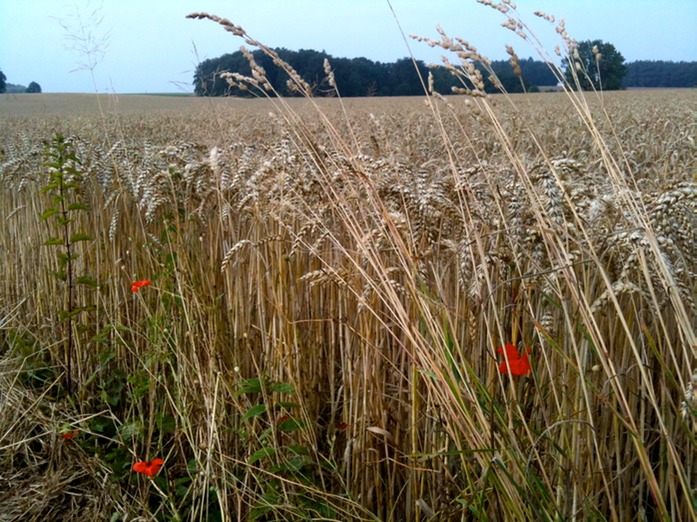 Sommerradtouren