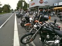 Harley OpenHouse 2011