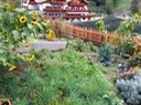 Sonnenblumen in St. Georgen