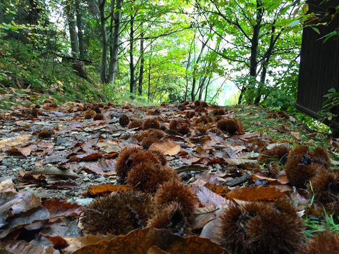 Keschtnweg