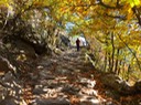 alter Pfad zur Burg Juval