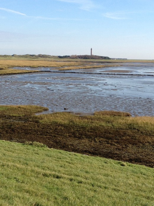 Wattlandschaft mit Leuchtturm