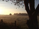 Morgenstimmung auf dem Weg zum Bahnhof