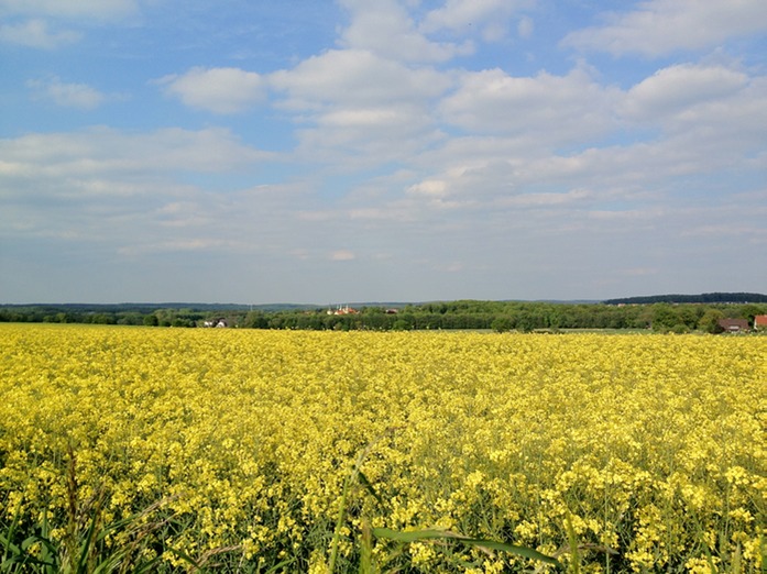 Kloster Rulle