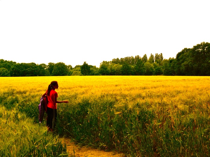 Mdchen im Kornfeld