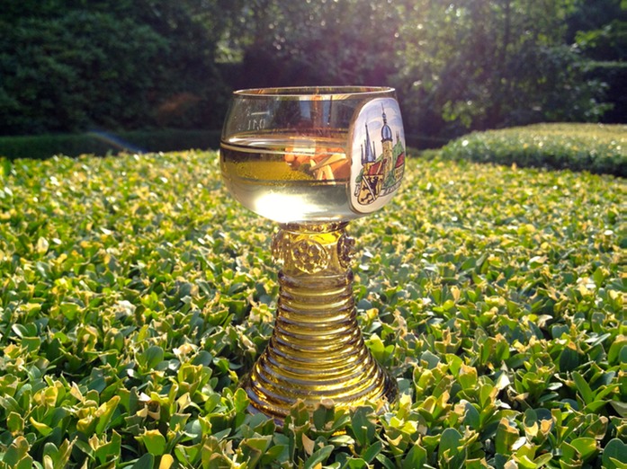 Riesling auf Buchsbaumhecke