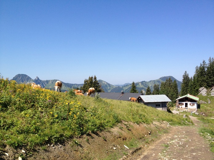rauf zum Rosskopf