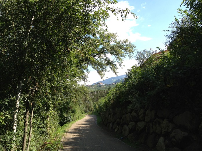 ein neuer Radweg