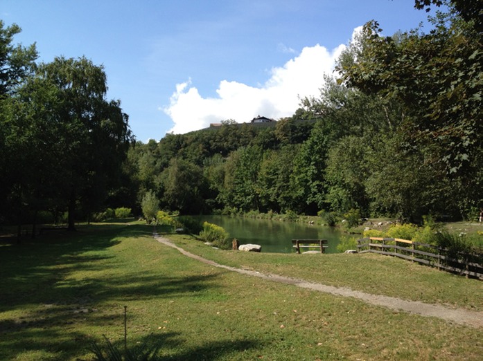neuer Park