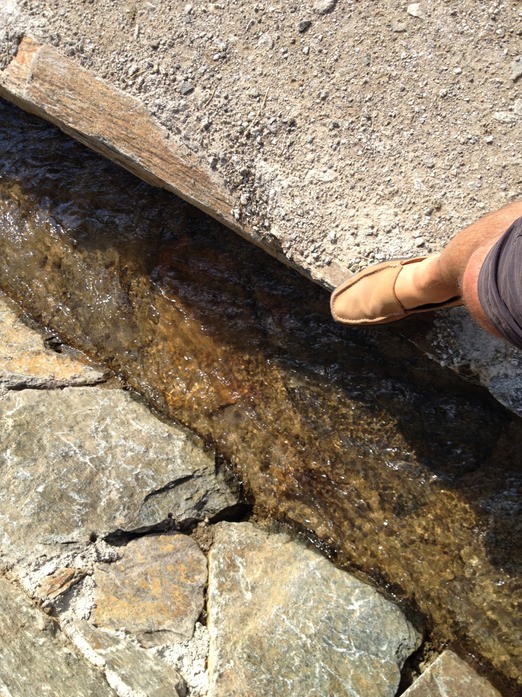 viel Wasser im Waal