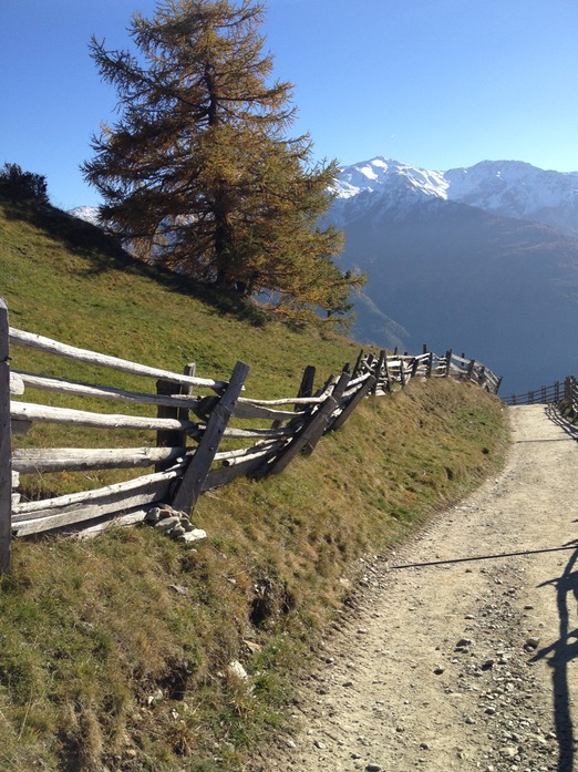 Almweg bei St. Martin