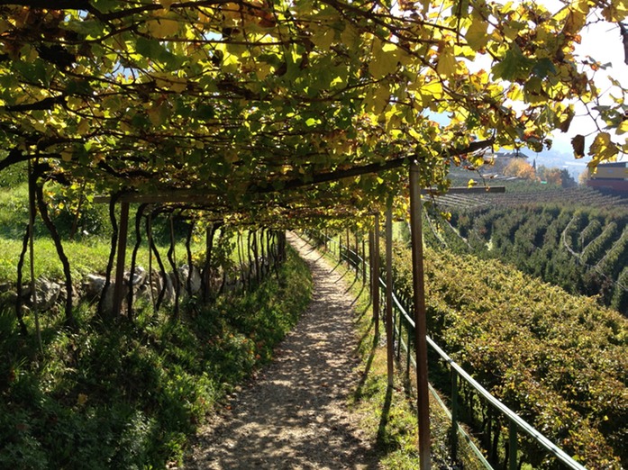 den Wein haben wir schon getrunken