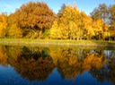 Spiegelung am Kanal