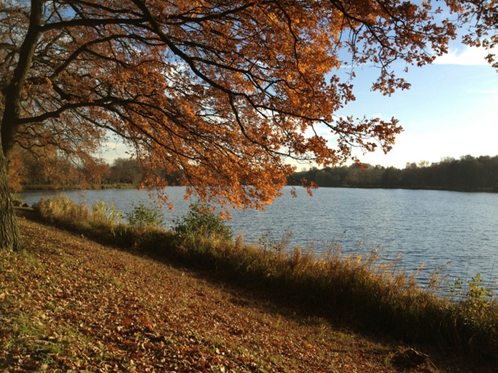 RubbenbruchHerbst