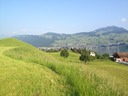 Vierwaldsttter See nach langer Nacht