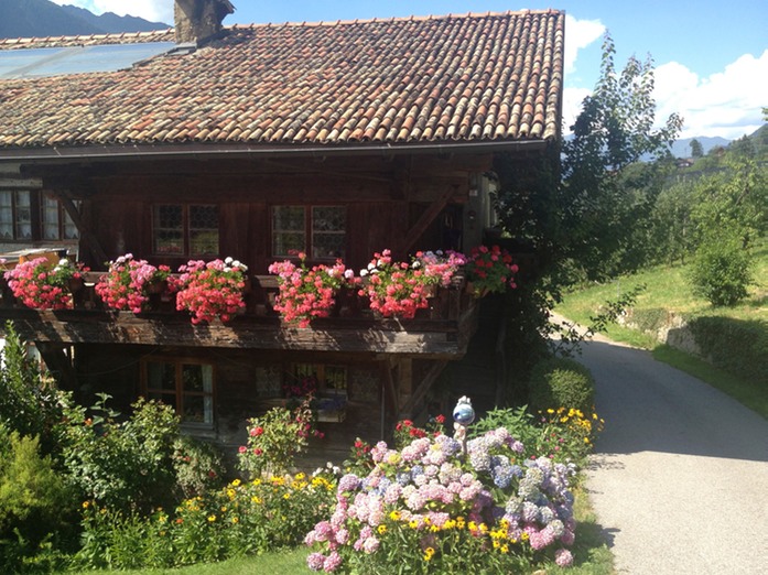 Sommer am Wiesenweg