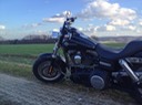 Mitte Februar mit FatBob